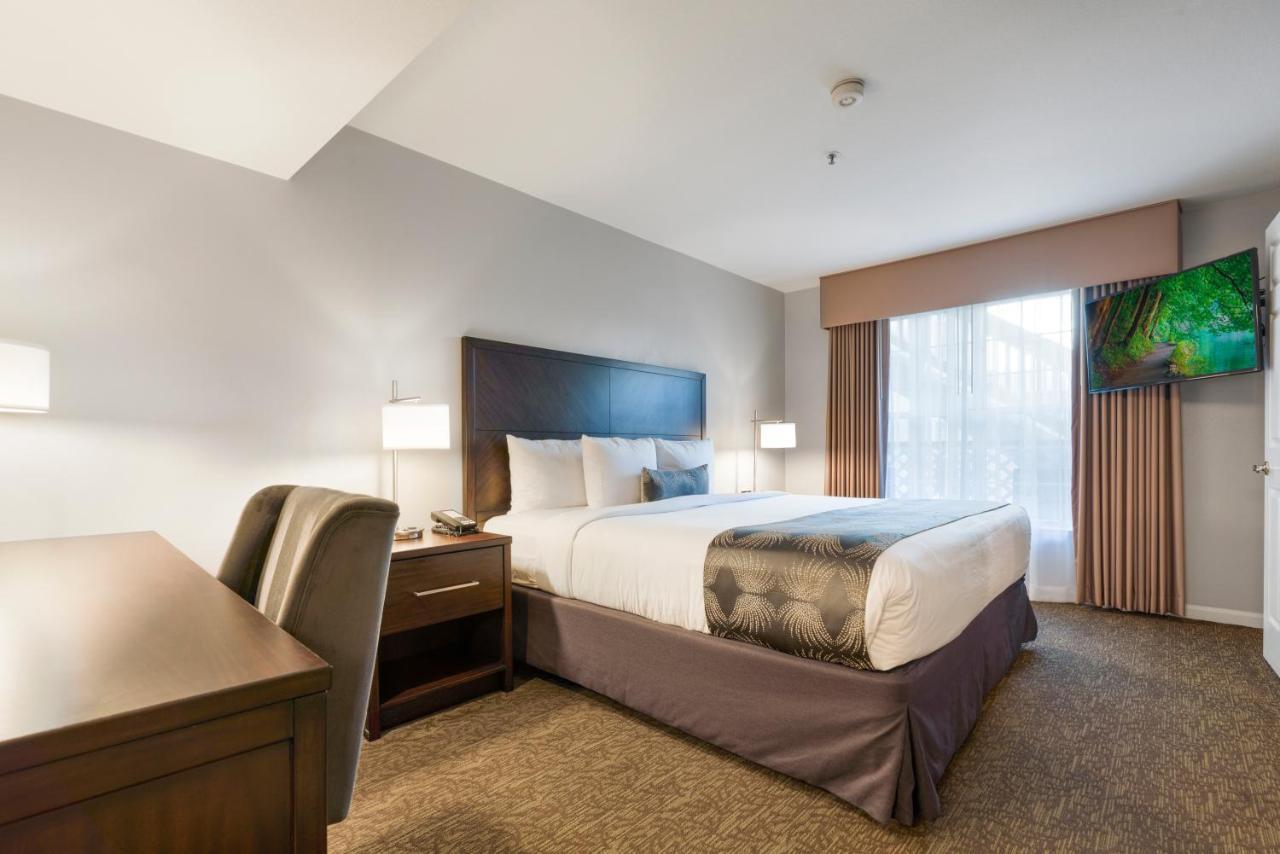Chase Suites Brea-Fullerton - North Orange County Екстериор снимка